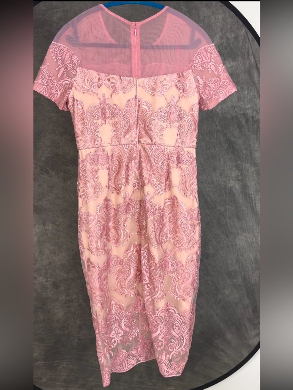 JAX Black Label Coral Pink Embroidered Lace Mesh Sheath Dress | Size 6 - Picture 3 of 6